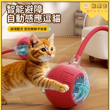 💖現貨速發 🐾寵物球 智能逗貓球 貓咪玩具 狗狗玩具 寵物追逐玩具 貓咪自嗨解悶玩具 避障智能球 寵物互動玩具 寵物用品