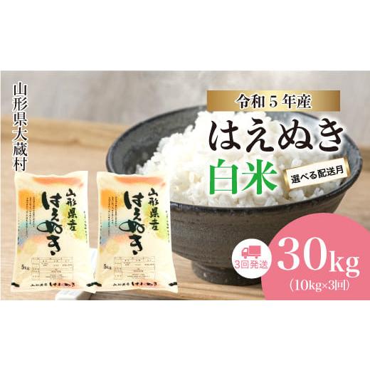 ふるさと納税 山形県 大蔵村 令和5年産 大蔵村 はえぬき  定期便 30kg （10kg×1か月間隔で3回お届け）