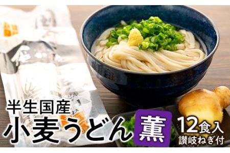 半生国産小麦うどん「薫」讃岐ねぎ付きセット