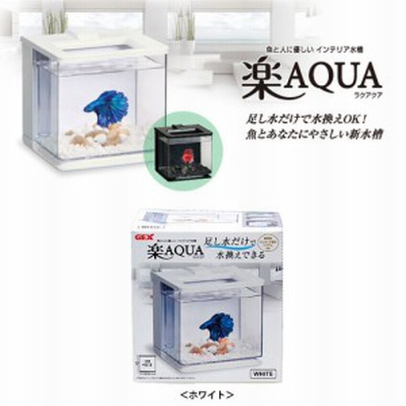 Gex 楽アクア ホワイト ベタ メダカ 水換え簡単水槽 通販 Lineポイント最大1 0 Get Lineショッピング