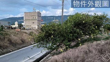 阿蓮土庫段雙面臨路大面寬有水電農地｜高雄市阿蓮區土庫段