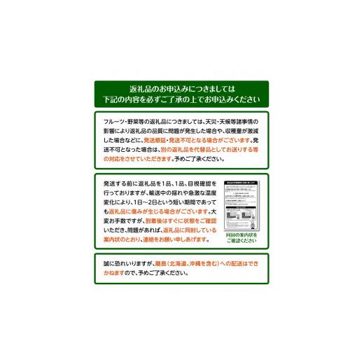 ふるさと納税 香川県 高松市 さぬきひめ いちご 化粧箱 約400g