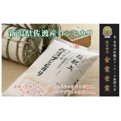 ふるさと納税 新潟県 食味鑑定コンクール金賞　新潟県佐渡産コシヒカリ　30kg(5kg×6袋)