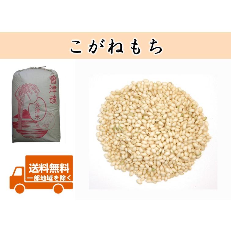 令和5年産新米 会津産こがねもち 1等玄米30kg