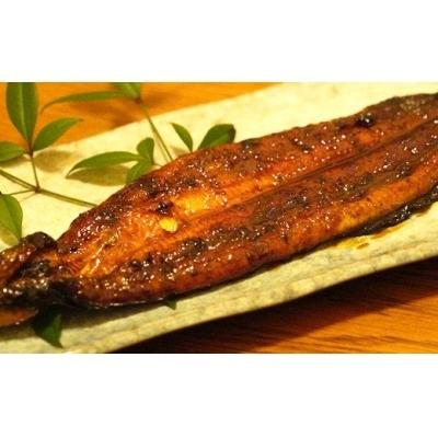 ふるさと納税 愛南町 老舗亀一の手焼きうなぎ蒲焼白焼(約120g×2本)