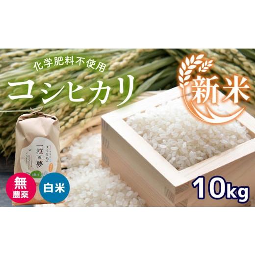 ふるさと納税 山口県 美祢市 無農薬・化学肥料不使用 コシヒカリ 10kg