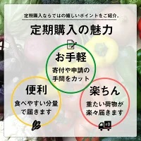 訳あり 定期便 旬な野菜のお楽しみ詰め合わせセット 産地直送 トマト 人参 タマネギ ブロッコリー ほうれん草 白菜 キャベツ レタス 大根 サツマイモ オクラ ししとう にんにく なす キャベツ 里芋 サツマイモ 高知県 須崎市