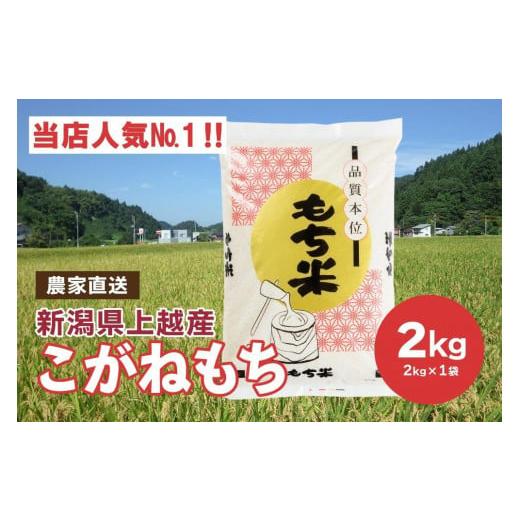 ふるさと納税 新潟県 上越市 ブランドもち米「こがねもち」令和5年産 新潟県産／