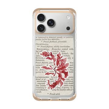iPhone 17 Pro Max ClearX 暖透橘 - The Seaweed Studio - 海藻標本集