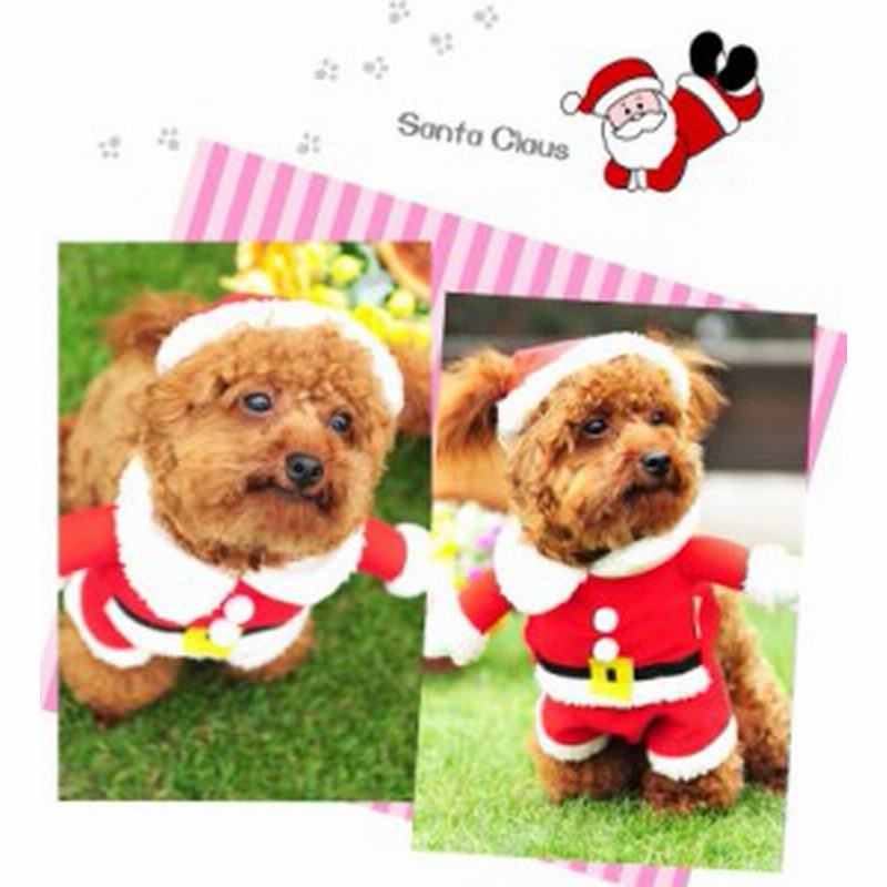 サンタ コスプレ 犬 猫 ペット用 コスチューム サンタクロース 2点セット 通販 Lineポイント最大1 0 Get Lineショッピング