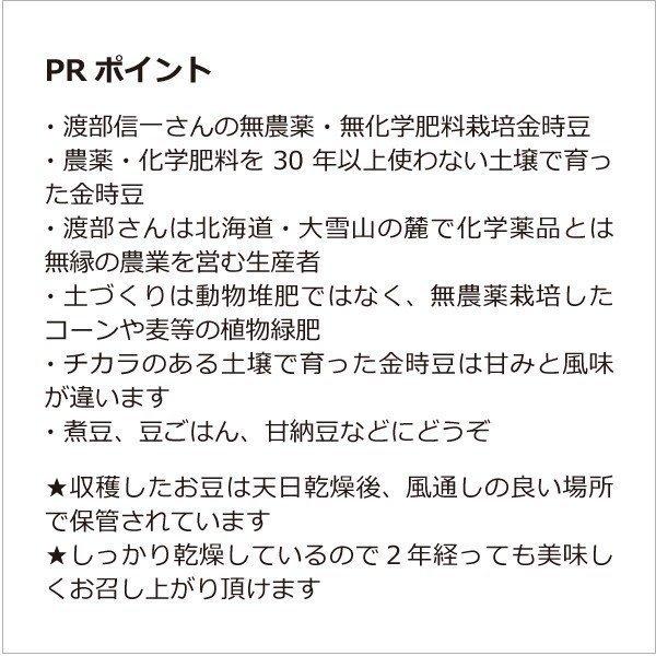 業務用 無農薬金時豆 渡部信一さんの金時豆約30kg（約30kg×1袋） 北海道産 無農薬栽培30年の美味しい金時豆 渡部さんは化学薬品とは無縁の生産者