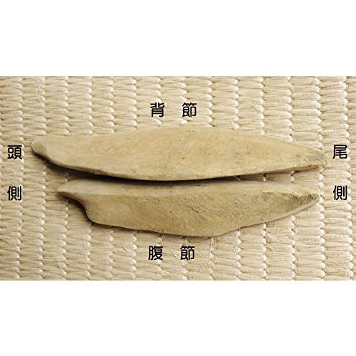 鹿児島県産 鰹本枯節 背節（250ｇ）