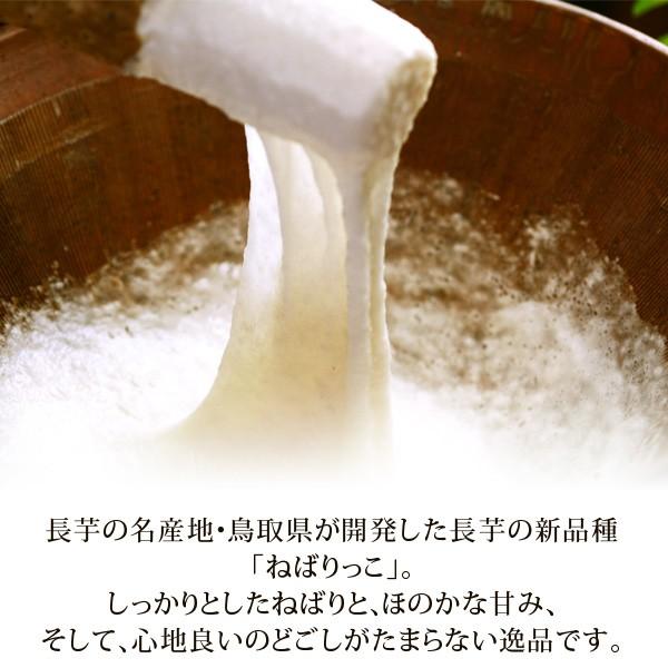 鳥取県北栄町特産 砂丘長いもの「ねばりっこ」約2kg 訳あり（ご自宅用） 送料無料（北海道・沖縄を除く）