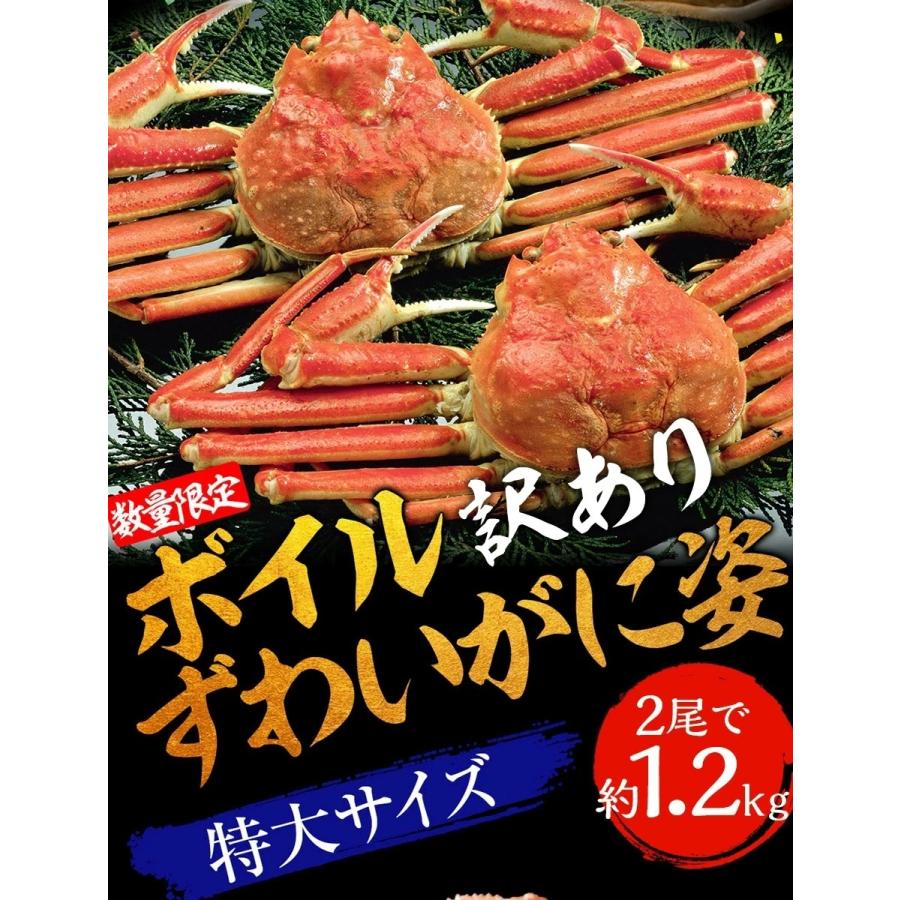 訳あり ボイル ズワイガニ 姿 特大 2尾 約1.2kg ずわいがに ギフト