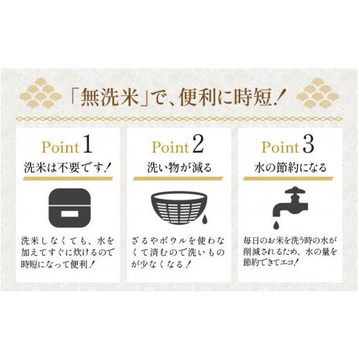 ふるさと納税 福井県 あわら市 令和5年産新米 ミルキークイーン 10kg 無洗米 特別栽培米 低農薬 《食味値85点以上！こだわり極上無洗米》 ／ 福井県 あわら 北…