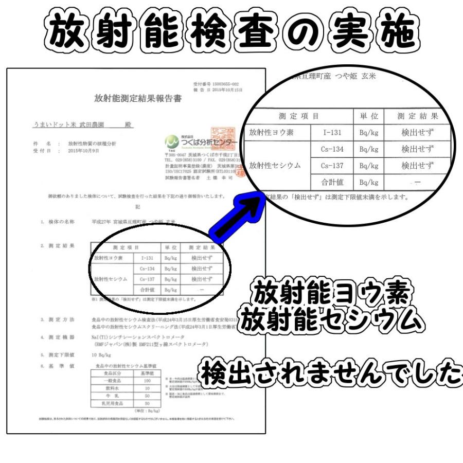 (送料無料)だて正夢 玄米20kg 新米 令和5年産(環境保全米)農家直送