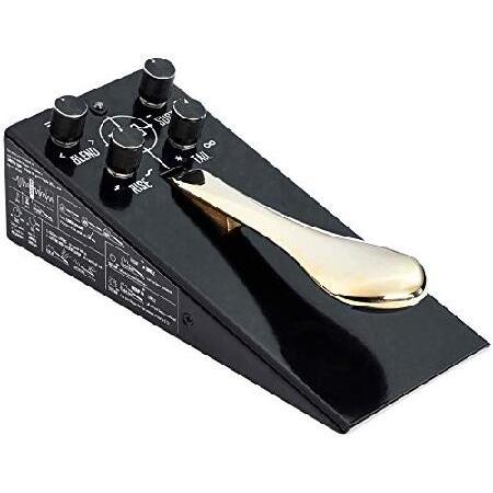 Game Changer Audio PLUS Pedal Sustain Pedal サスティンコントロール エフェクター並行輸入