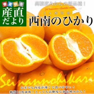 香川県より産地直送 JA香川県 高糖度みかん「西南のひかり」２LからMサイズ ５キロ (25から35玉前後) 送料無料 みかん 蜜柑 新品種 糖度1