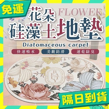 台灣+隔日配🇹🇼矽藻土地墊 矽藻土軟地墊 珪藻土地墊 珪藻土軟地墊 吸水地墊 硅藻泥瞬吸墊 浴室地墊 腳踏墊 地墊