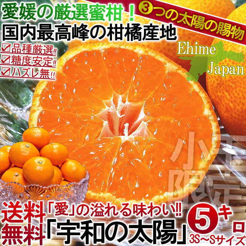 宇和の太陽 温州みかん 約5kg 愛媛県産 小玉限定 S〜3Sサイズ 柑橘 えひめ蜜柑 3つの太陽 愛の溢れる完熟ミカン