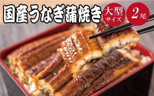 大型サイズ　ふっくら柔らか国産うなぎ蒲焼き　２尾