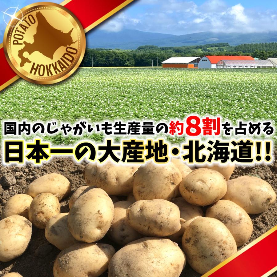 じゃがいも 10kg キタアカリ 北海道産 数量限定 じゃがいも 食品 国華園