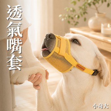 💙Petleha💙狗狗透氣嘴套 狗狗嘴套 狗嘴套 透氣嘴罩 防咬 防叫 防誤食 可調節口罩 寵物口罩 寵物嘴套