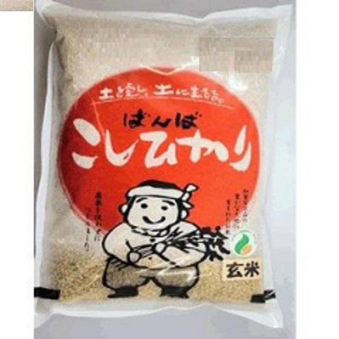 こしひかり　玄米　2kg