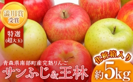 最高級  (超大玉) 青森産 完熟 りんご 約5kg サンふじ 王林 2種セット 化粧箱入り  青森りんご リンゴ 林檎 青森県 南部町 澁川賞 受賞 果物 くだもの フルーツ F21U-230