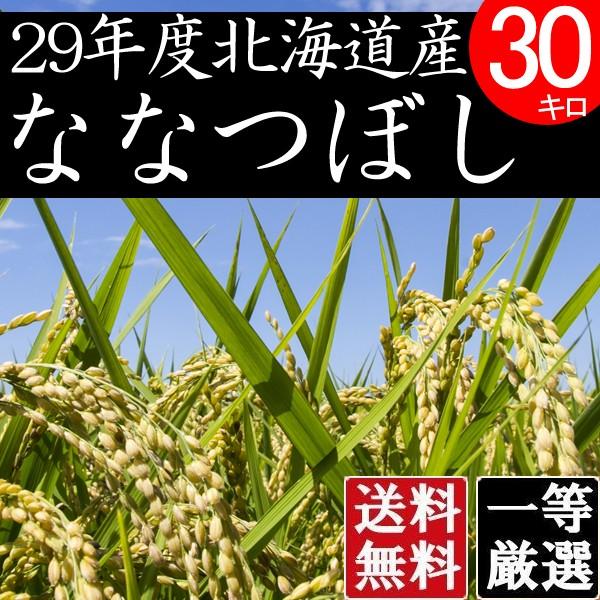 お歳暮 ギフト 食べ物 北海道産ななつぼし -お試し 特A米 お米 30kg 検査一等米 令和元年産 送料無料