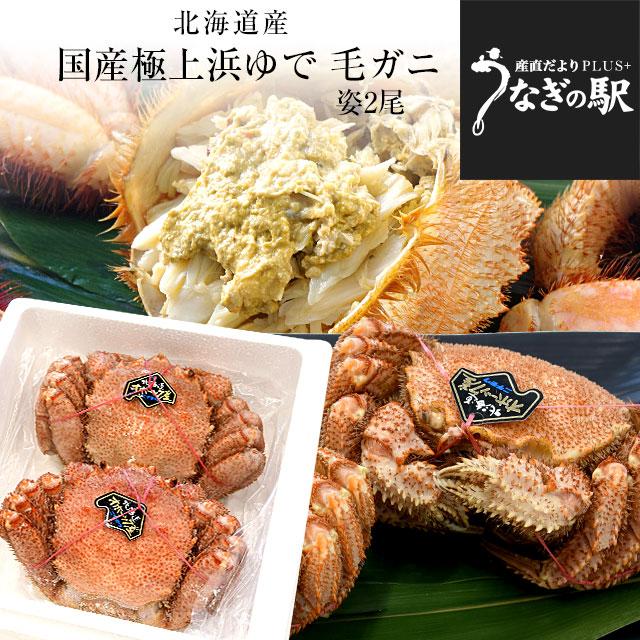 北海道より直送 北海道産 「浜ゆで 毛ガニ」450g前後×2尾入 送料無料　かに カニ 毛ガニ 毛がに 毛蟹 ギフト