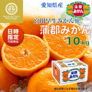 [予約 2023年 12月15日頃から発送] 蒲郡みかん 約10kg 愛知県蒲郡産 産地箱 蒲郡早生みかん 早生 蒲郡 宮川早生 他 冬ギフト お歳暮 御歳