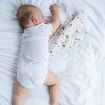 Organic B 有機比比  有機棉方巾兩件組 松鼠覓果子