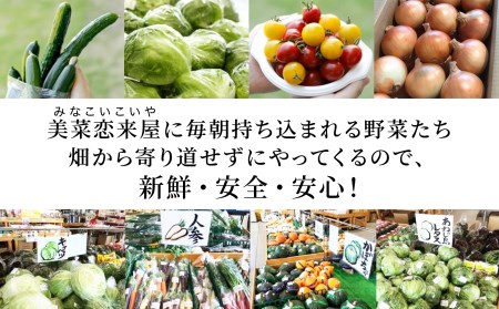 ほんまもん淡路島野菜BOX（大）