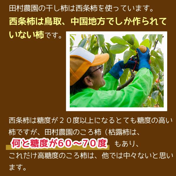 全額返金保証 最高糖度７０度 低農薬 鳥取産 ころ柿 1個 約50g入 干し柿  干柿 枯露柿 コロ柿 鳥取産