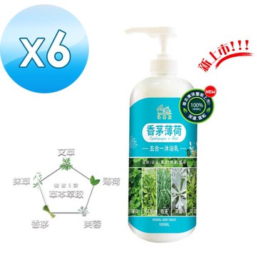 【HAPPY HOUSE快樂屋】五合一香茅薄荷平安淨身沐浴乳(1000ml)-6入
