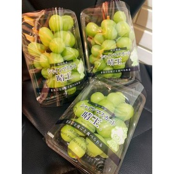 日本 岡山 晴王 麝香葡萄｜日本進口水果   1盒 / 350g+-5%