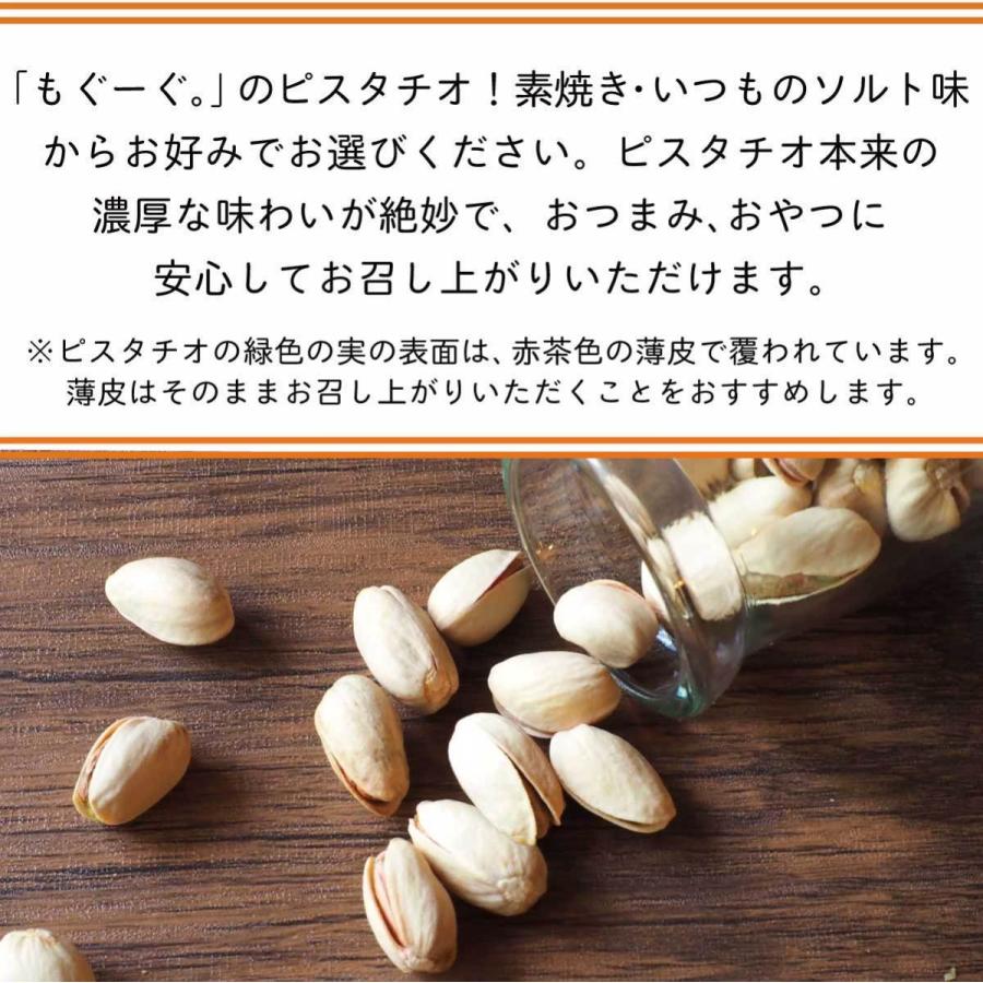 友口 魅惑の選べるピスタチオ 480g ナッツ 素焼き 塩 いつものソルト味 木の実 スイーツ 殻つき 送料無料 アルミ袋 チャック 工場直販 モグーグ