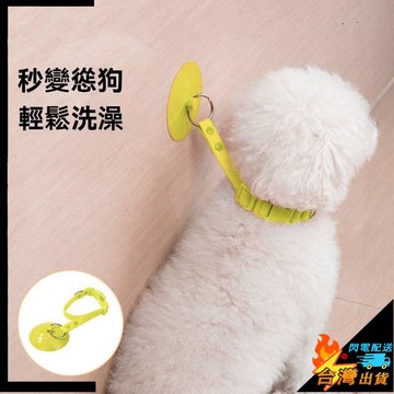 【台灣出貨】寵物洗澡固定器 吸盤 可拆卸 貓咪狗狗 清潔美容 防掙脫 防抓跑 綁帶項圈 洗澡神器
