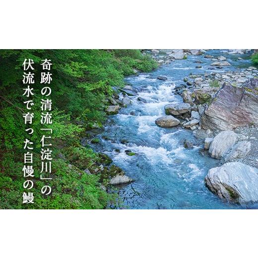 ふるさと納税 高知県 高知市 奇跡の清流「仁淀川」の伏流水で育った高知県産「うなぎ蒲焼」２尾セット