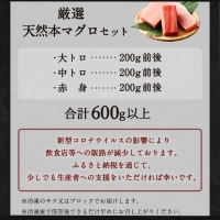 厳選 天然 本マグロ セット６００ｇ以上 本まぐろ 100% 冷凍 刺身 海鮮 丼 さく 柵 ブロック