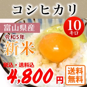 令和5年産 富山県産 コシヒカリ こしひかり 白米10kg   