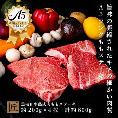 ふるさと納税 小山市 おやま和牛 A5 極 熟成肉 モモ肉ステーキ用 約200g×4枚