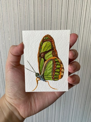 ACEO 水彩原創藝術蝴蝶卡片微型家居裝飾創意禮物