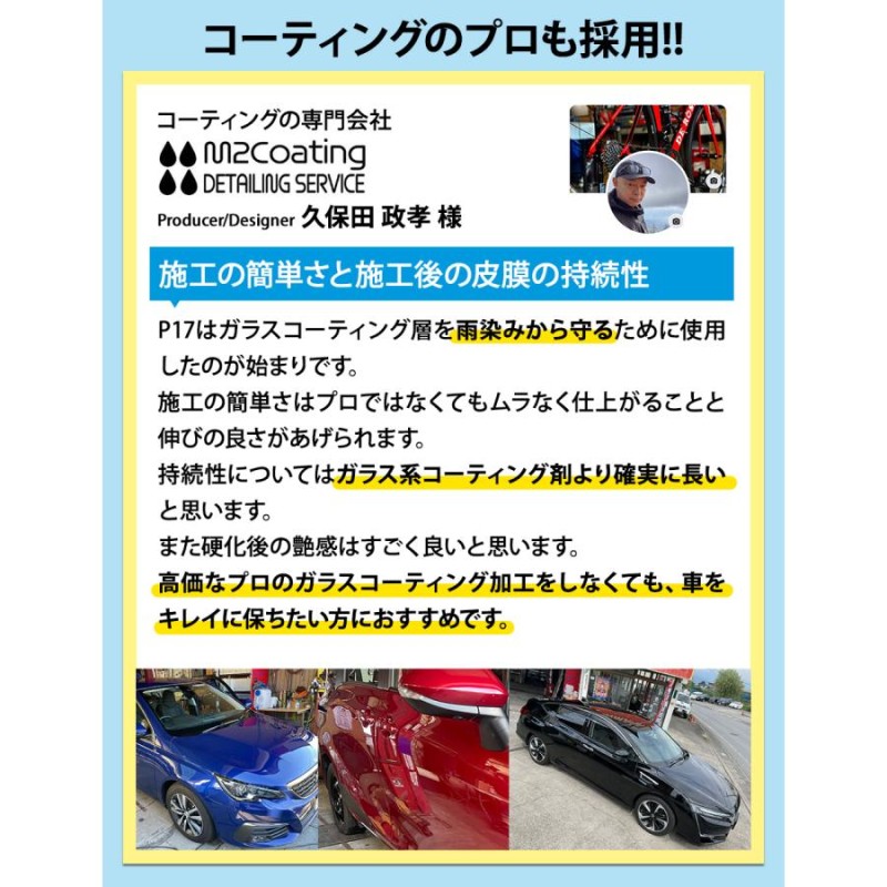 BolaSolution P17＆P17S セラミックコーティング2本セット コーティング剤 車 セラミックコーティング BolaSolution P17