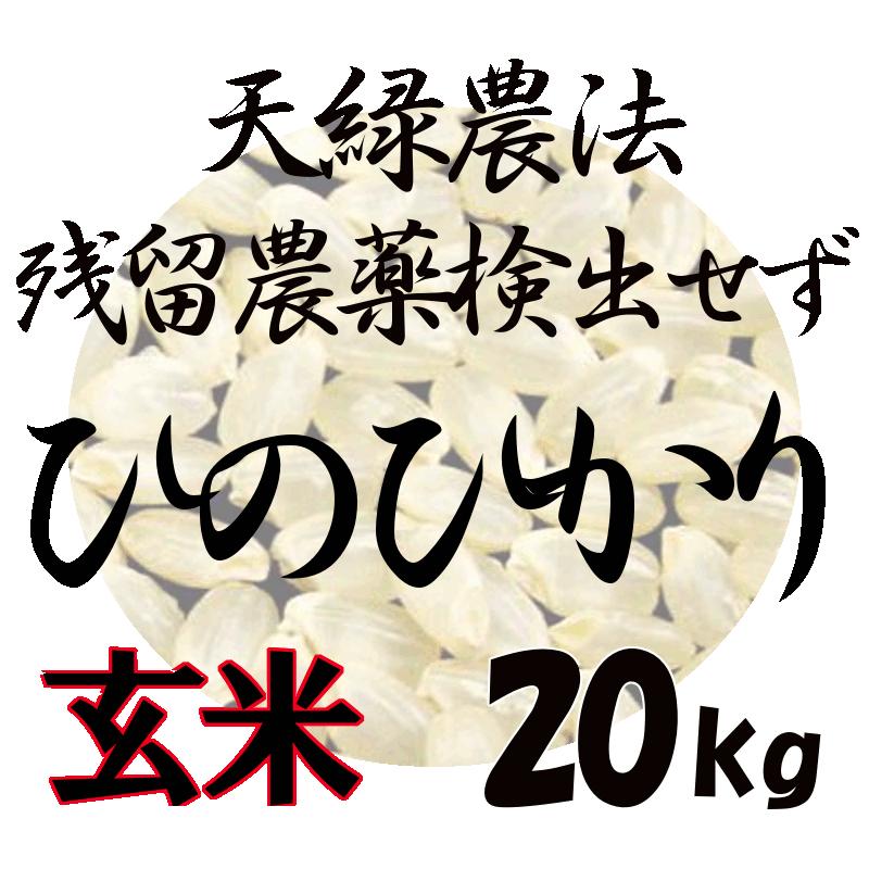 新米！ 藍藻育ち 天緑農法 藍の舞 ひのひかり 20kg（5kg×4） 高LPS 残留農薬250項目すべて検出せず  無農薬 送料無料 令和5年度産 2023