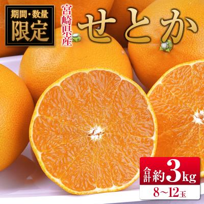 ふるさと納税 宮崎県 ◇宮崎県産 せとか 約3kg(8〜12玉入)