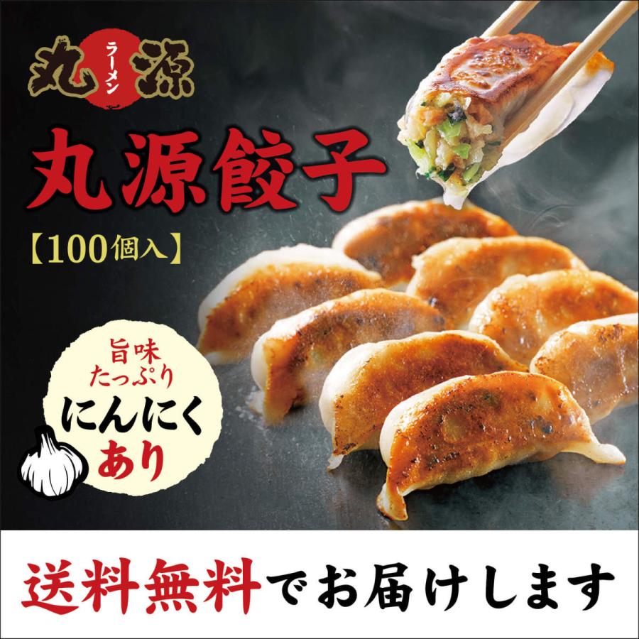 餃子 ぎょうざ お取り寄せ 丸源餃子 100個 冷凍餃子 生餃子 ギフト 送料無料