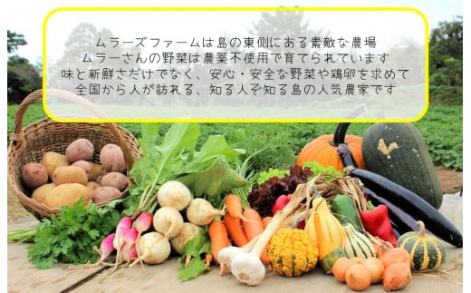 季節の野菜詰め合わせ（5～6種）！農薬不使用だから安心安全！