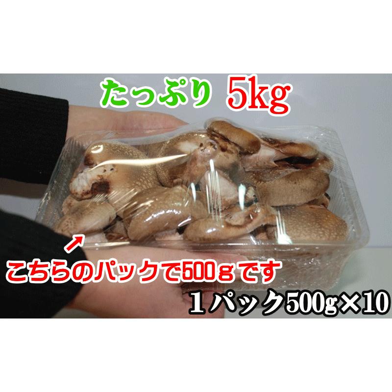 生しいたけ 訳あり 5kg 500g×10 送料無料 生シイタケ 椎茸 味は一級品 朝採れたて菌床栽培 生椎茸 しいたけ 国産 生しいたけ 野菜 ギフト 業務用